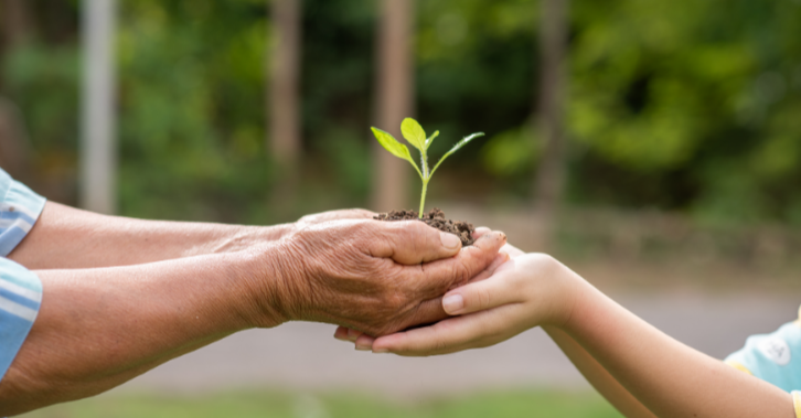 A close-up of the wrinkled hands of an older person and the smooth hands of a child jointly holding a small green sprout with soil. The hands are cupped, presenting the seedling forward. The background is a blurred garden or forest.